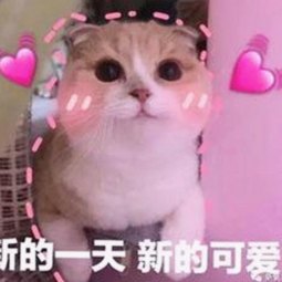 警花张津瑜：厕所门视频风波背后的真相