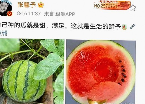 吴柳芳恋爱出轨视频曝光引发热议，运动员私生活再成焦点