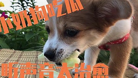 国产影视与匠心工艺：东方美学的时代新声