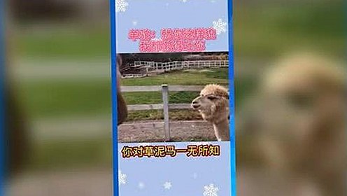 揭秘娱乐圈吃瓜内幕：从网红变现到幕后黑手曝光