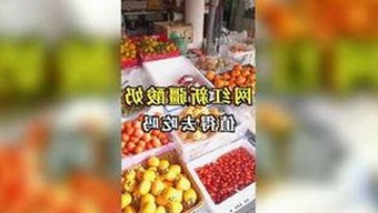 汽车气囊背后的守护者：科技与安全的默默英雄