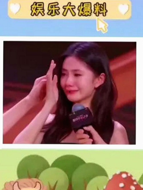 从争议到反转：明星李晓的娱乐圈变迁全纪录