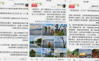 从争议到真相：校园大赛背后的隐秘角逐