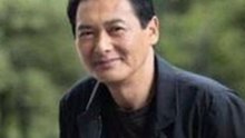 娱乐圈最新动态：从风波到平息的完整回顾