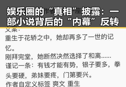 娱乐圈的“真相”披露：一部小说背后的“内幕”反转