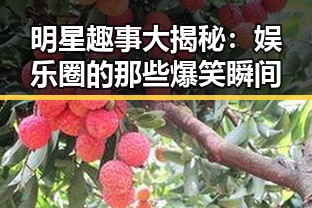 明星趣事大揭秘：娱乐圈的那些爆笑瞬间